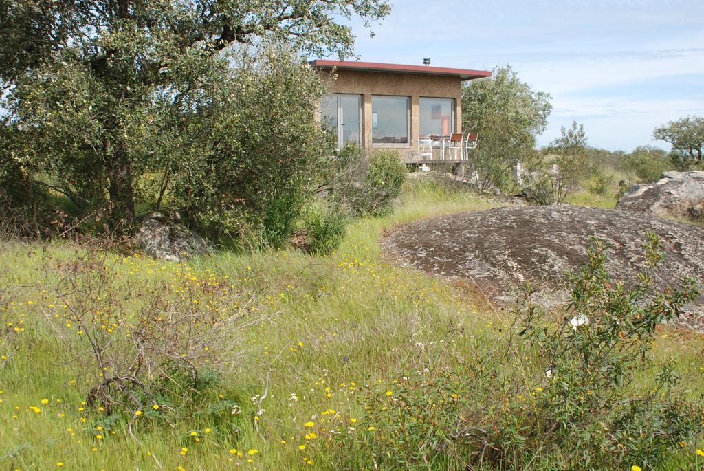 Bubulcus And Bolotas - Off Grid Nature Holiday Home Vimieiro  Eksteriør billede